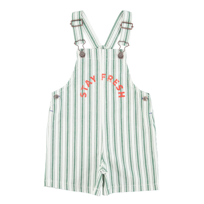 Short Dungaree - White & Green Stripes