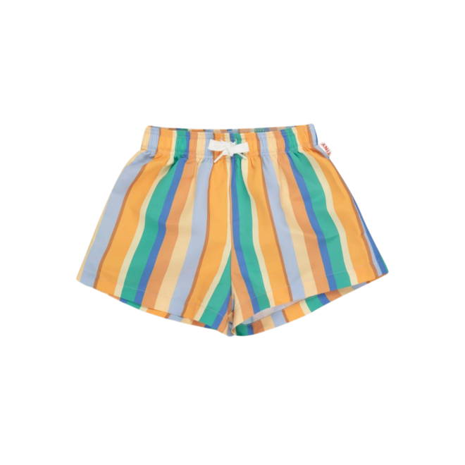 Multicolor Stripes Trunks - Multicolor