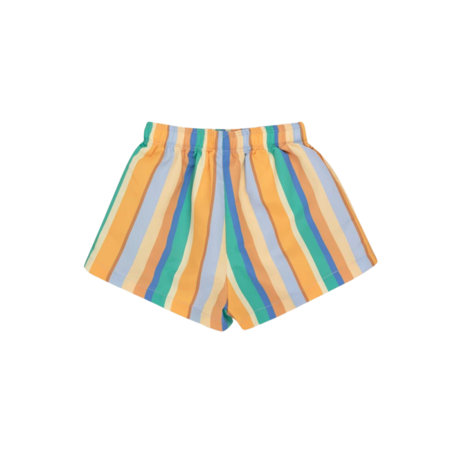 Multicolor Stripes Trunks - Multicolor