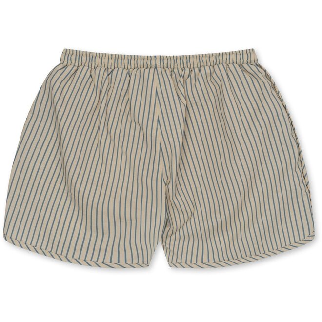 Asnou Swim Shorts - Stripe Blue