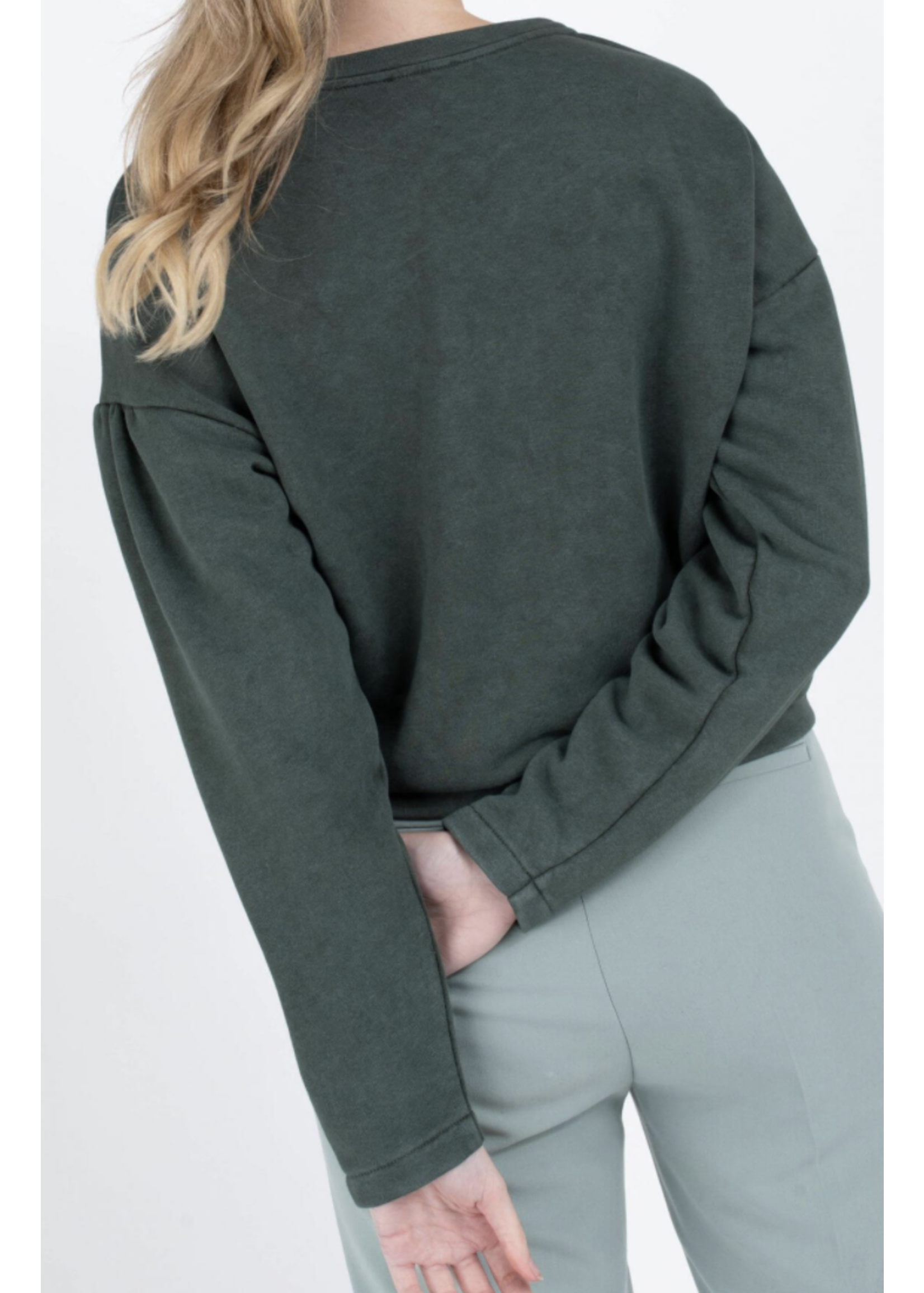 Anna Sweatshirt Lange Mouw Grey Green Solid