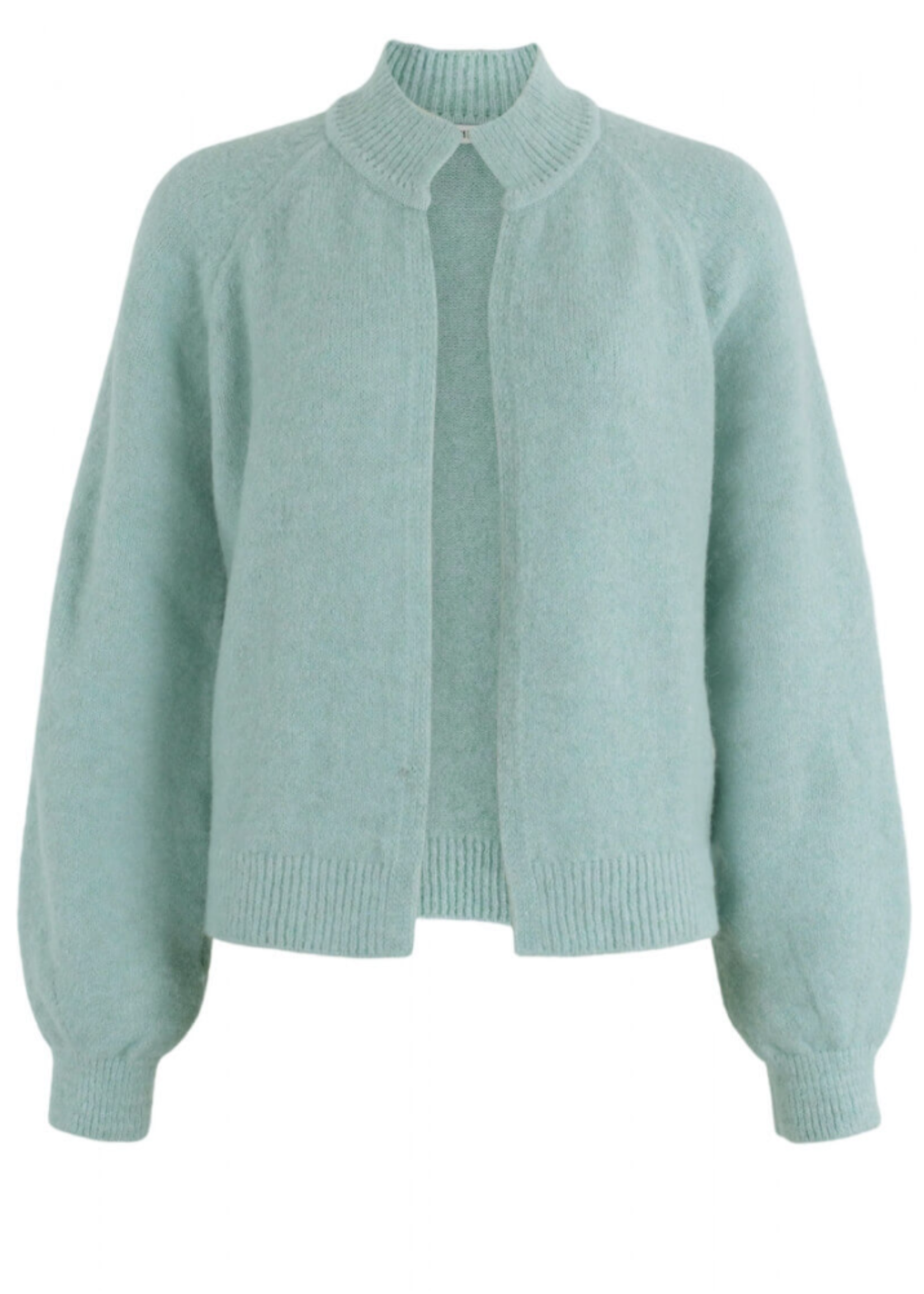 Anna Vest Lange Mouw Mint Solid