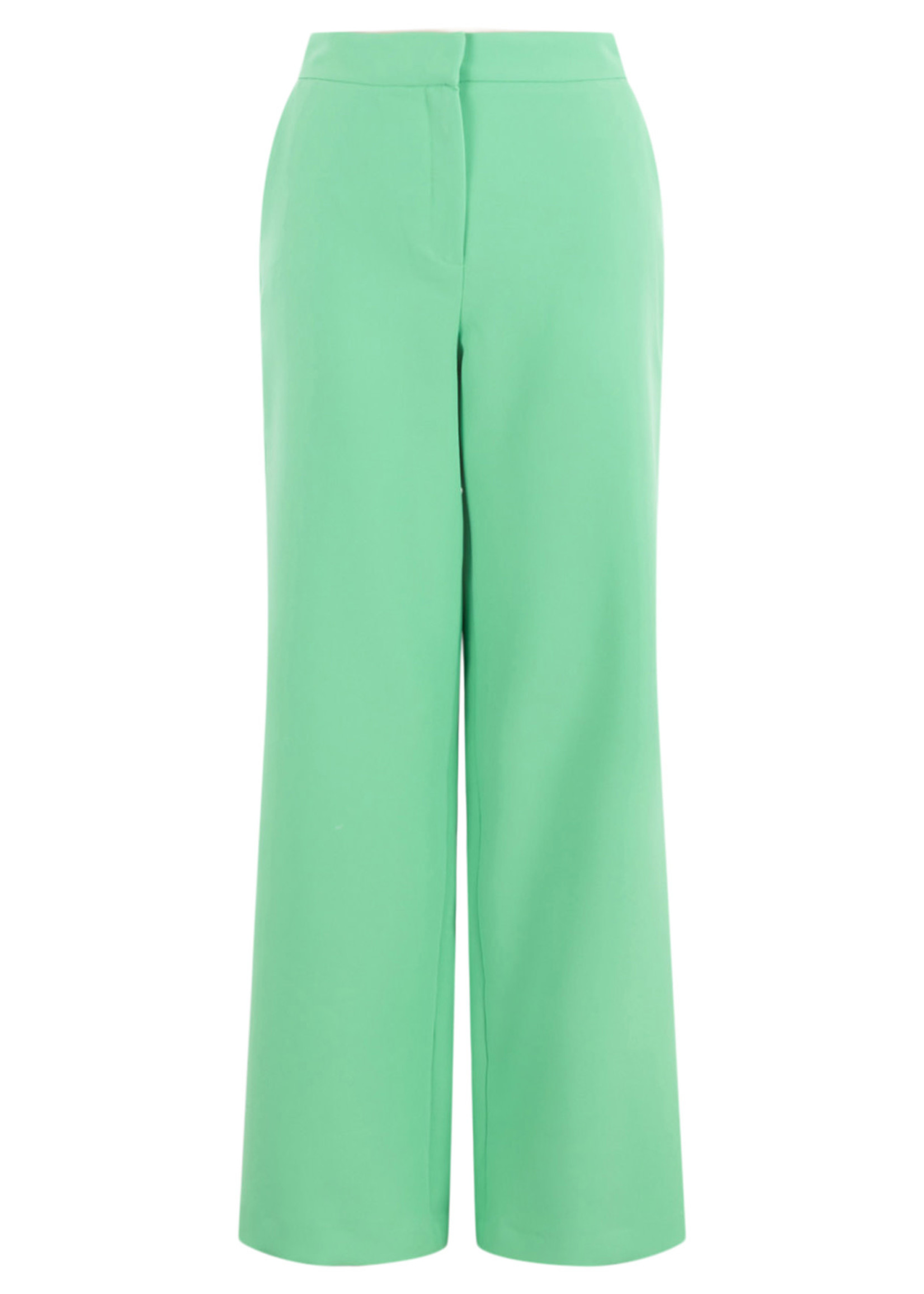 Anna Pantalon Bright Green Solid