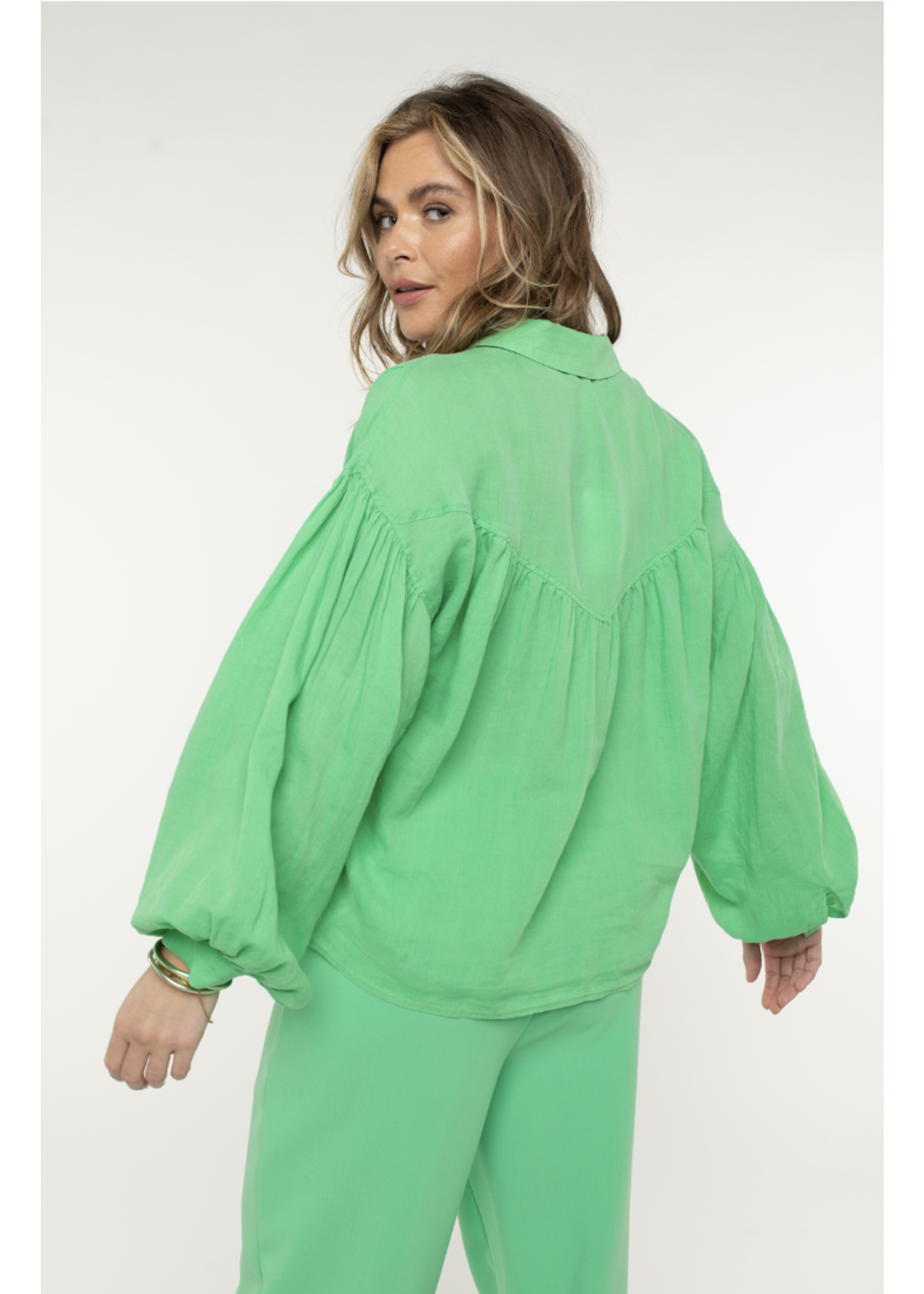 Anna Blouse lange mouw Bright Green Solid