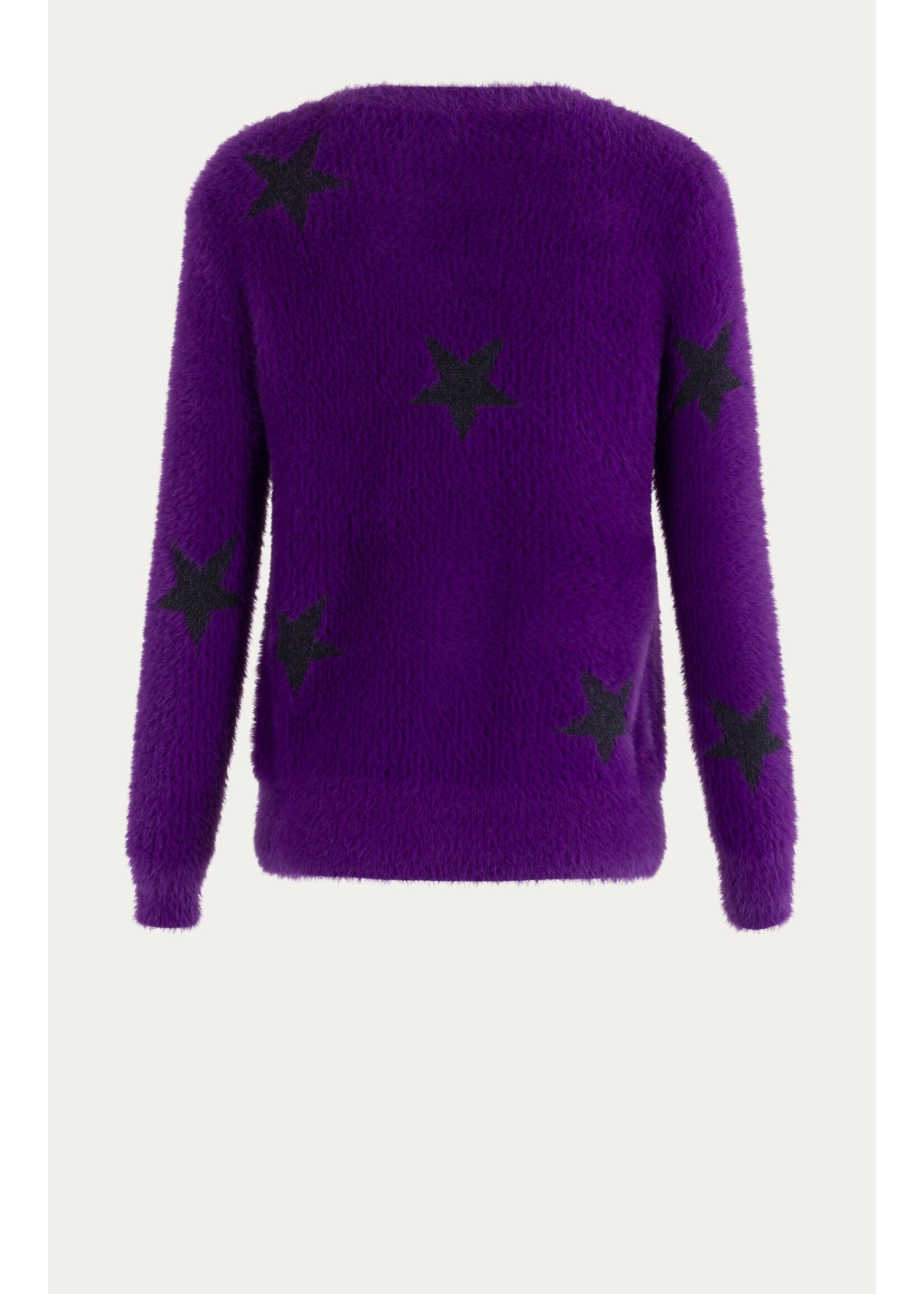 Anna Blue Chase Pullover Purple Dessin