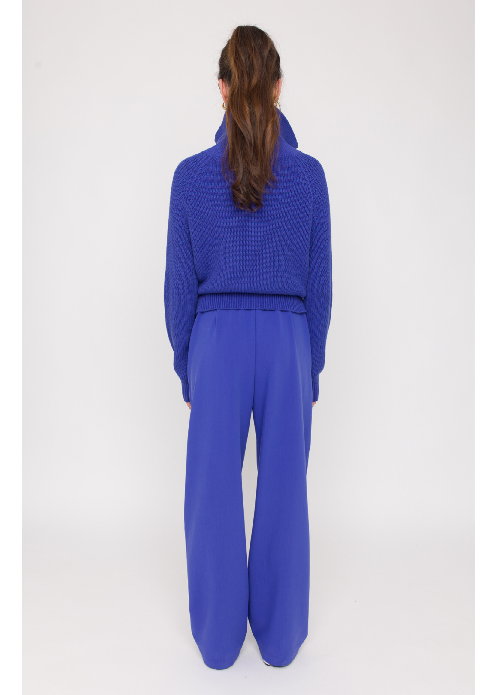 Anna Blue Zip Pullover Blue Purple Solid