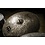 Meinl Meinl Byzance 22" Big Apple Dark Tradition Light Ride