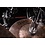 Meinl Meinl Benny Greb - 6 inch Crasher Hat Cymbals