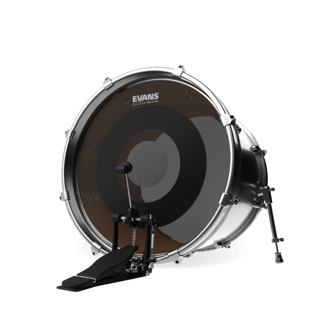 Evans dB One 22