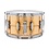 Ludwig Ludwig Hammered Bronze Phonic 14" x 8" Snare Drum, Polished w/Imperial Lugs