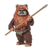 Star Wars Episode VI 40th Anniversary Black Series Action Figure Wicket