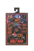 Universal Monsters x Teenage Mutant Ninja Turtles Ultimate Raphael as The Wolfman 18cm