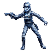 Star Wars Episode VI Black Series Carbonized Action Figure 2-Pack Emperor's Royal Guard & TIE Fighter Pilot Exclusive 15cm