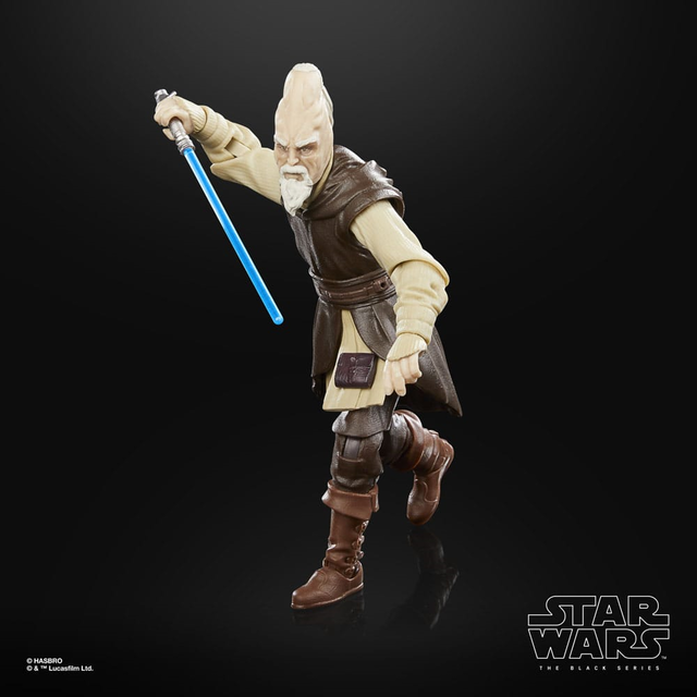 Star Wars Episode II Black Series Action Figure Ki-Adi-Mundi 15cm
