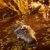 G.I. Joe Classified Series Croc Master & Fiona 15cm