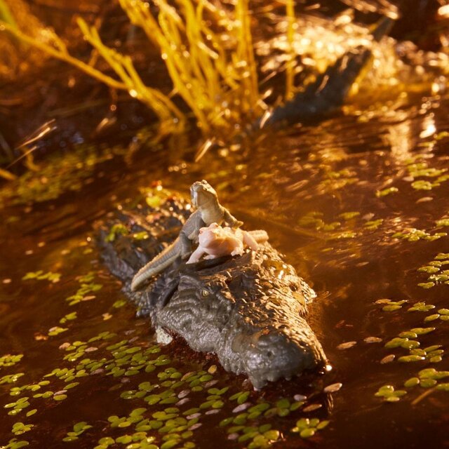 G.I. Joe Classified Series Croc Master & Fiona 15cm