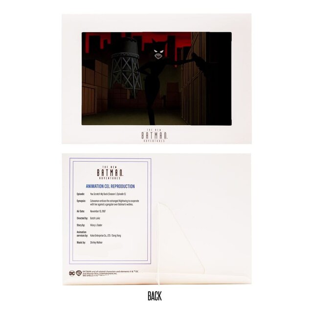 DC Direct Action Figure The New Batman Adventures Catwoman 15cm