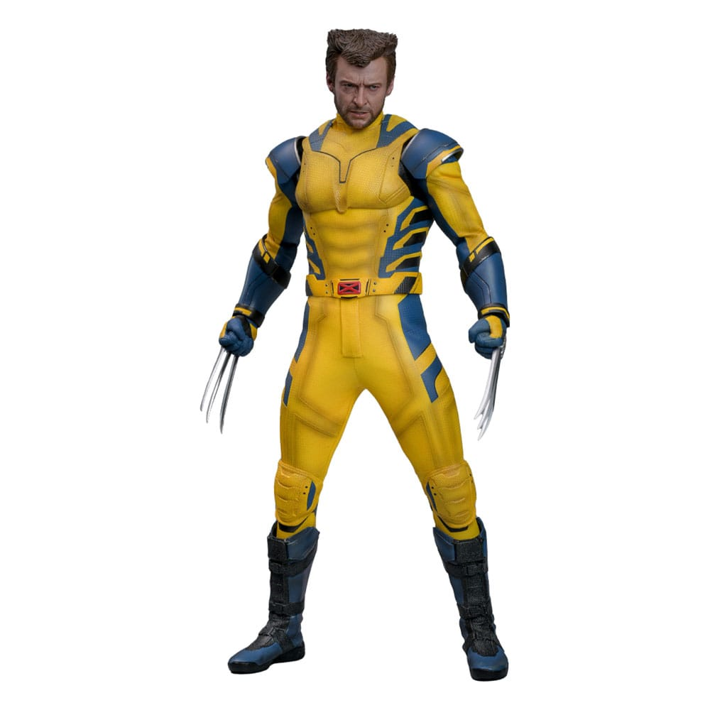 Hot Toys Movie Masterpiece Wolverine Deluxe afbeelding