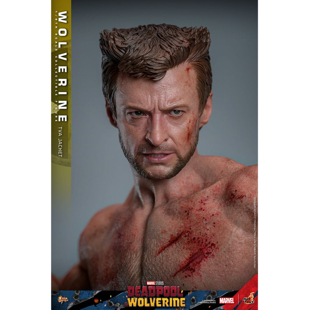Deadpool & Wolverine Movie Masterpiece Action Figure 1/6 Wolverine (TVA Jacket Version) 31cm Deadpool & Wolverine Movie Masterpiece Action Figure 1/6 Wolverine (TVA Jacket Version) 31cm