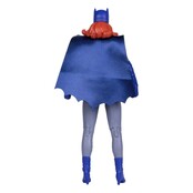 DC Retro Action Figures Wave 11 Complete Set DC Retro Action Figures Wave 11 Complete Set