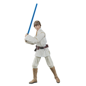 Star Wars Episode IV Black Series Action Figure Luke Skywalker 15cm