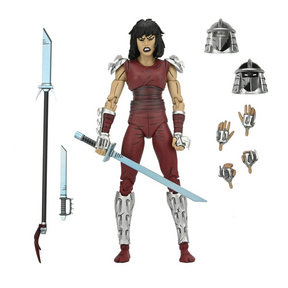 Teenage Mutant Ninja Turtles Karai