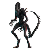 Alien: Romulus Movie Masterpiece Action Figure 1/6 Scorched Xenomorph 44cm