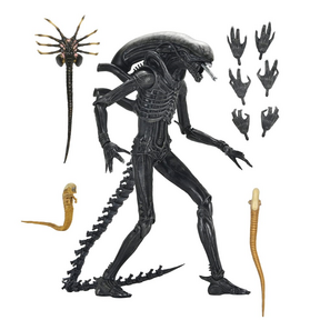 Alien Romulus Ultimate Xenomorph XX121