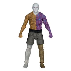 DC Multiverse Metamorpho