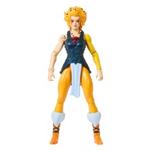 MOTU x Thundercats Cheetara