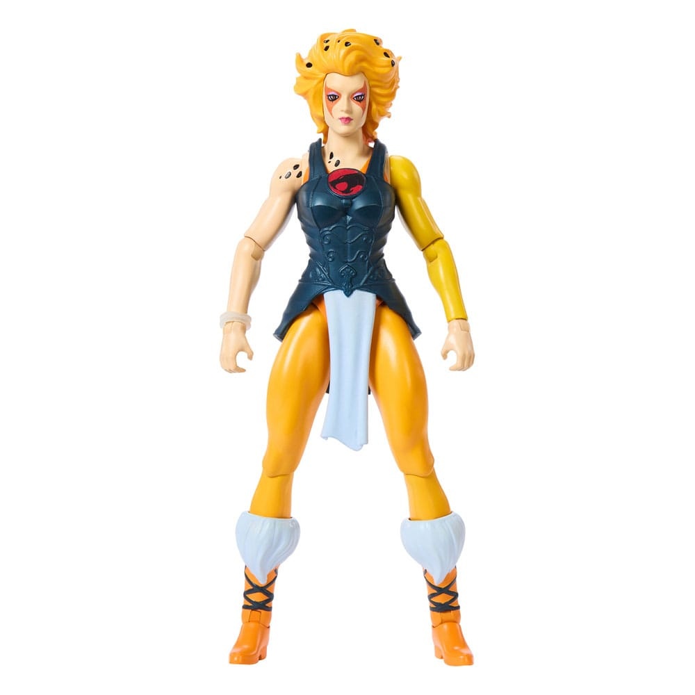 Mattel MOTU x Thundercats Cheetara afbeelding