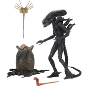 Alien 1979 40th Anniversary Ultimate Big Chap Action Figure 23cm