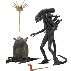 Alien Ultimate Big Chap