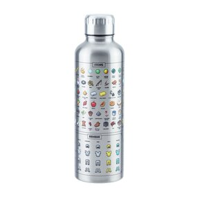 Minecraft Metal Water Bottle