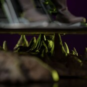 Masters of the Universe Art Scale Statue 1/10 Zodac 22cm Masters of the Universe Art Scale Statue 1/10 Zodac 22cm