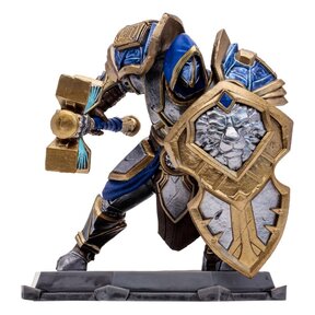 World of Warcraft Human Paladin / Warrior