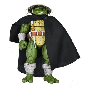TMNT Old Man Raphael