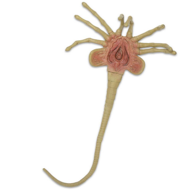 Aliens Foam Replica 1/1 Facehugger 105cm