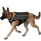 MAFEX Sofia John Wick: Chapter 3 Parabellum Action Figure 14cm