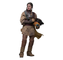 Star Wars Episode VI Movie Masterpiece 1/6 Leia Organa (Boushh Disguise) 27cm