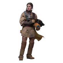 Star Wars Leia Organa (Boushh Disguise)