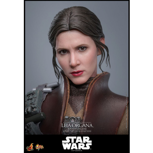 Star Wars Episode VI Movie Masterpiece 1/6 Leia Organa (Boushh Disguise) 27cm