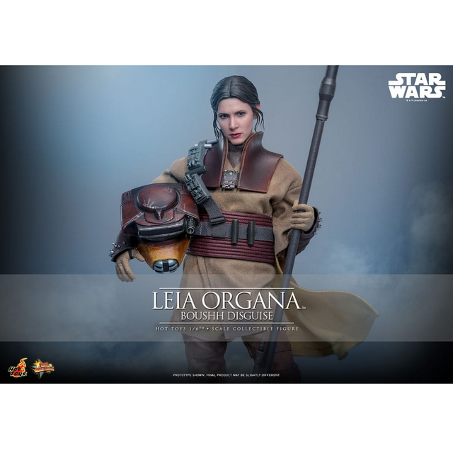 Star Wars Episode VI Movie Masterpiece 1/6 Leia Organa (Boushh Disguise) 27cm