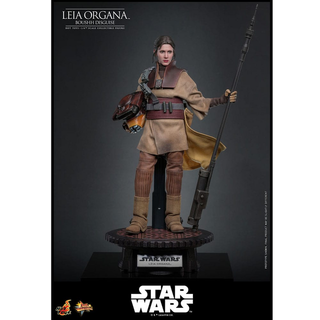 Star Wars Episode VI Movie Masterpiece 1/6 Leia Organa (Boushh Disguise) 27cm