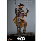 Star Wars Episode VI Movie Masterpiece 1/6 Leia Organa (Boushh Disguise) 27cm