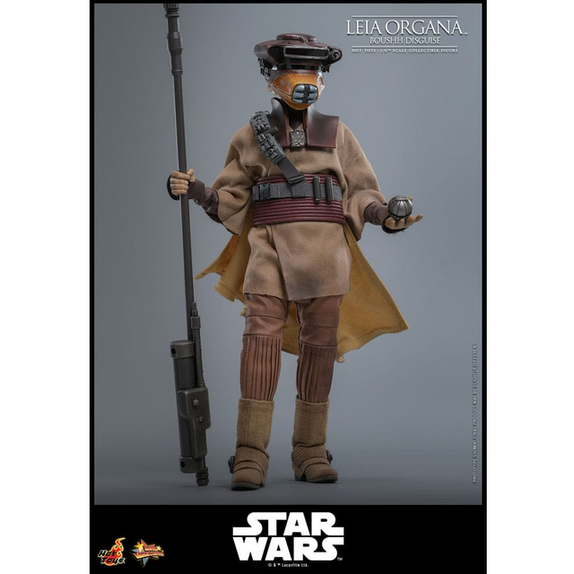 Star Wars Episode VI Movie Masterpiece 1/6 Leia Organa (Boushh Disguise) 27cm