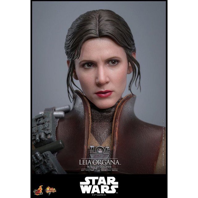 Star Wars Episode VI Movie Masterpiece 1/6 Leia Organa (Boushh Disguise) 27cm