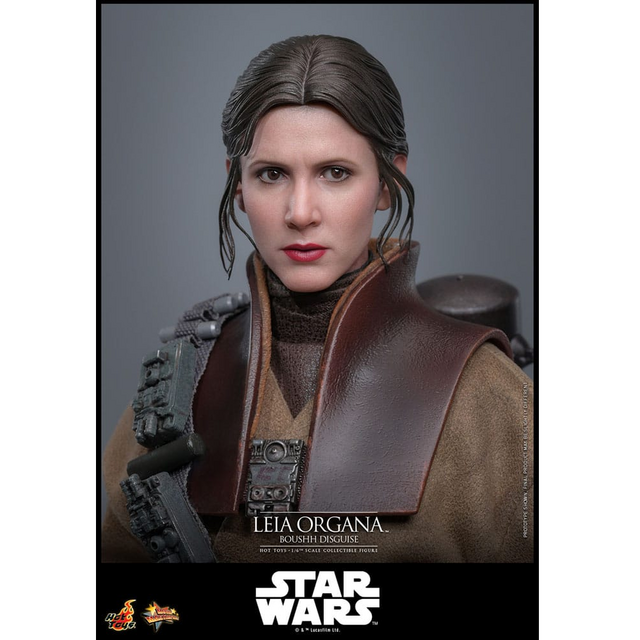 Star Wars Episode VI Movie Masterpiece 1/6 Leia Organa (Boushh Disguise) 27cm