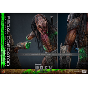 Prey Action Figure 1/6 Feral Predator (Battle Damaged Version) 37cm