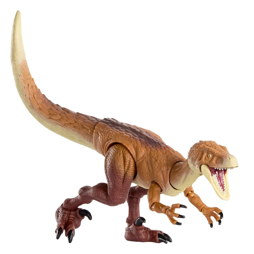 Ornitholestes – Hammond Collection